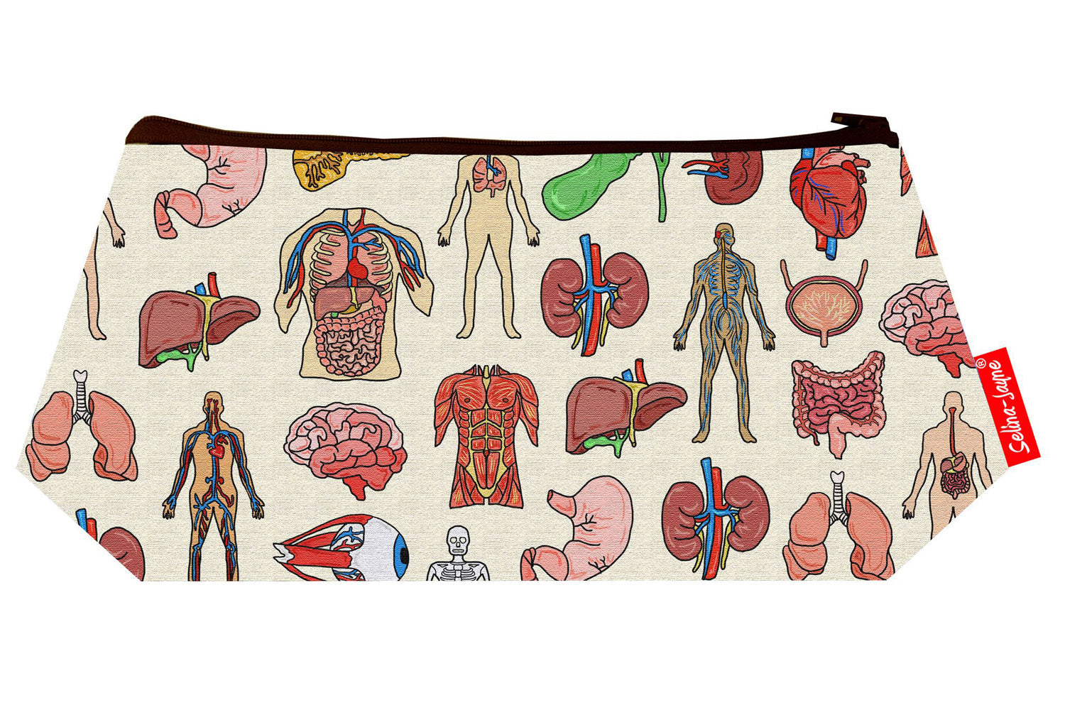 Anatomy makeup bag showing premium quality and wipe-clean lining