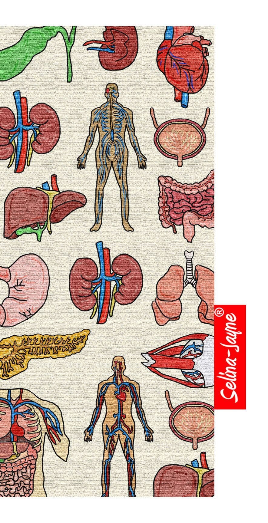 Premium medical science gift glasses case with colourfast anatomy design and soft cotton lining by Selina-Jayne