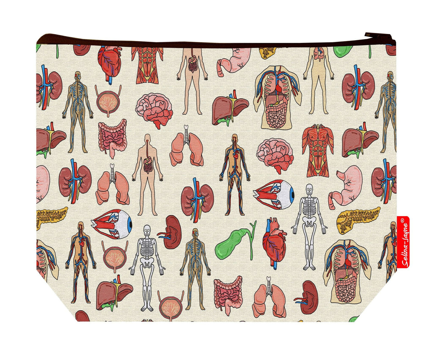 Premium medical student wash bag with vibrant anatomy HD print and washable lining